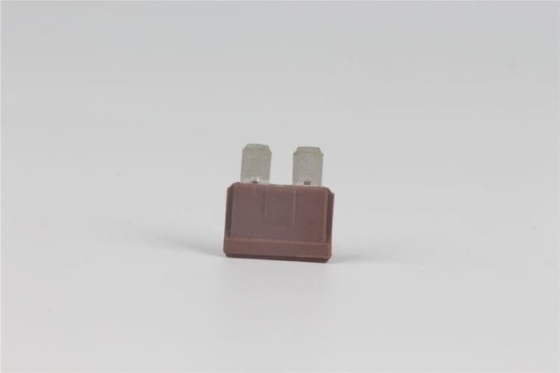 80v 40 Amp Plug In Fuse Bahan PBT Bertindak Cepat Tegangan Rendah