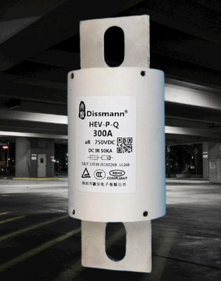 600A Industrial Power Fuse 1000VDC, EV Battery High Current Fuse