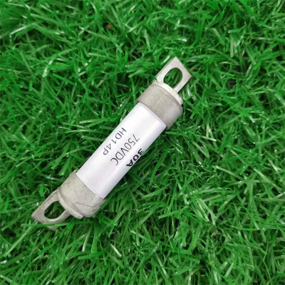 Dissmann BS88 Fuse DC150V AC240V 6-900A Fuse Sama dengan Bussman Fuse Sinofuse Buatan China
