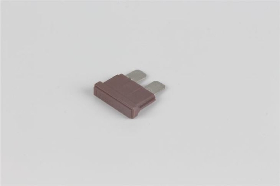 80v 40 Amp Plug In Fuse Bahan PBT Bertindak Cepat Tegangan Rendah