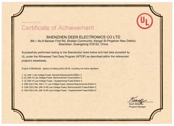 Cina Dissmann | Global Expert Fuse for EV | HEV | Photovoltaic | Battery | Energy Storage Solutions Sertifikasi